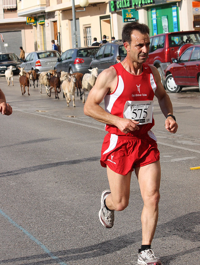 IMG_1416.jpg