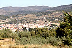 IMG_1251