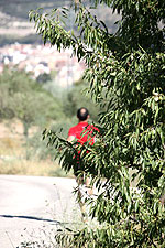 IMG_1262