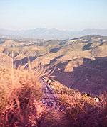 IMG_0443